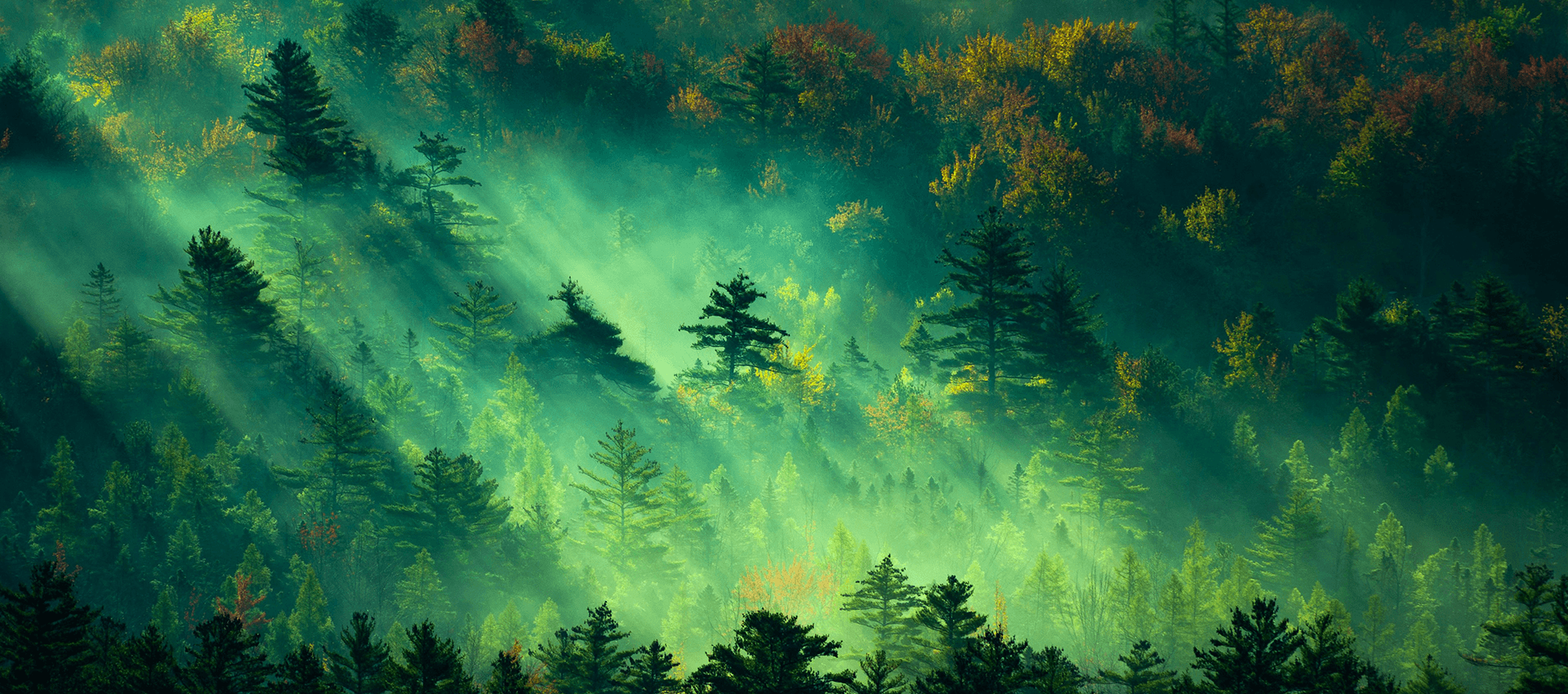 Oilfield Chemical Additives Manufacturer