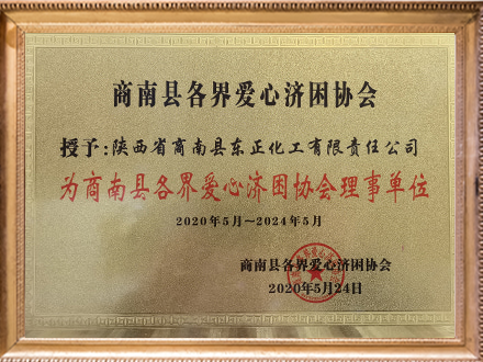 Council Member of the Charity & Poverty Alleviation Association